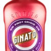Gin Grenade & Raisin Barbera Ginato Gin Italie Gin Aromatisé 43%