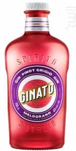 Gin Grenade & Raisin Barbera Ginato Gin Italie Gin Aromatisé 43%