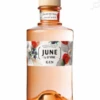 Gin G'vine June Pêche G'vine Gin France Gin Aromatisé 37.5%